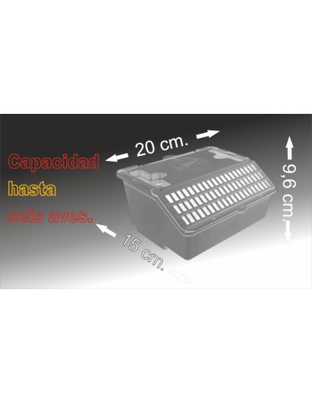 MOLDES AVE TRASNPORTÍN EL ARCA  - 6