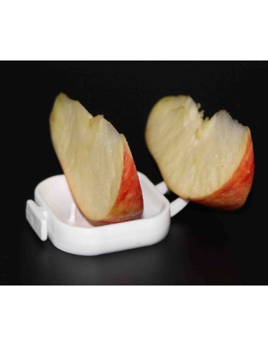 MOLDES AVE FRUTERO FLOREN  - 4