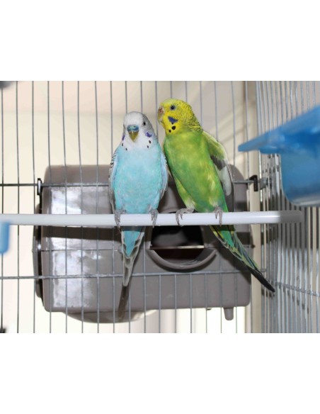 MOLDES AVE NIDO TAURÓN PARA PSITÁCIDAS  - 6