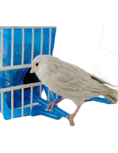 MOLDES AVE TOLVA EUREKA  - 6