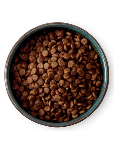 MCADAMS POLLO CAMPERO PARA CACHORROS 5 KG 2 KG - 2