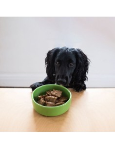 YORA PATÉ ZANAHORIA Y PATATA PARA PERROS - 390 GR 390 GR - 2 2