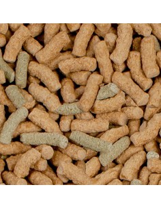 SERA RAFFY P NATURE 250 ML (55 GR) - 2 2