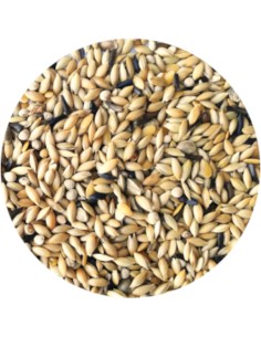 PET CUP MIXTURA CANARIOS ELITE SIN AVENA - 20 KG 20 KG 2