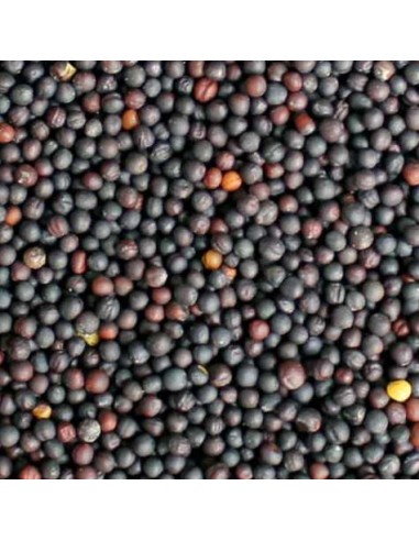 GALIAN COGASA NABINA NEGRA GALIAN 5 KG 800 GR - 2