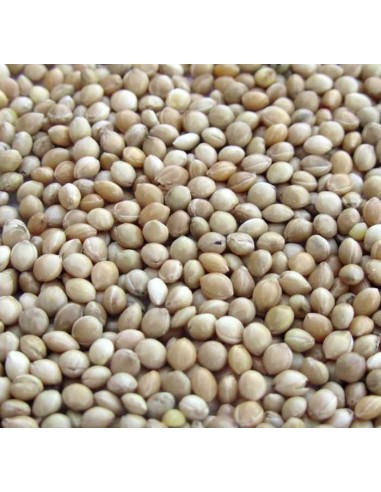 GALIAN COGASA MIJO BLANCO GALIAN - 1 KG 1 KG - 2