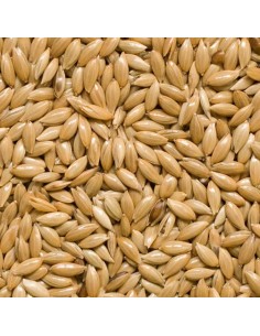 GALIAN COGASA ALPISTE GALIAN 5 KG 1 KG - 2