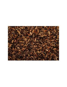 GALIAN COGASA CARDON MARIANO GALIAN 5 KG 600 GR - 2