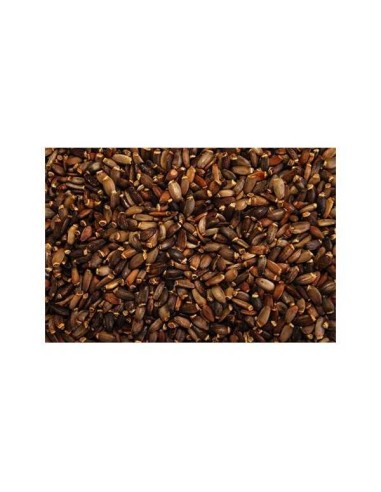 GALIAN COGASA CARDON MARIANO GALIAN 5 KG 600 GR - 2