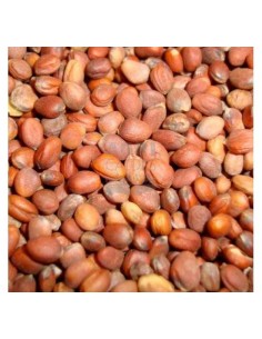 GALIAN COGASA SEMILLA DE RABANO GALIAN PARA PAJAROS - 1 KG 1 KG - 2