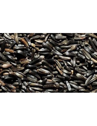 GALIAN COGASA NEGRILLO GALIAN 900 GR 4 5 KG - 2