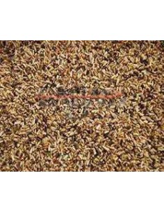 GALIAN COGASA ACHICORIA GALIAN - 500 GR 600 GR - 2