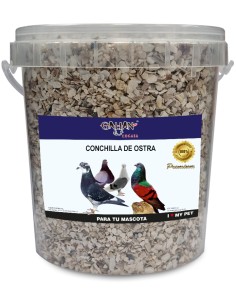 GALIAN COGASA CONCHILLA DE OSTRAS  1 KG 7 5 KG - 2
