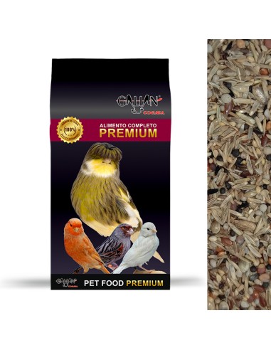 GALIAN COGASA SEMILLAS DE SALUD GALIAN - 650 GR 650 GR - 2