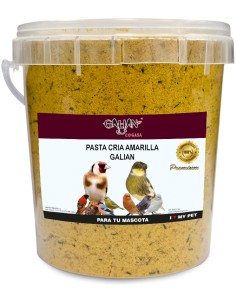 GALIAN COGASA PASTA DE CRIA AMARILLA GALIAN 900 GR - 2