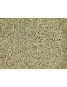 GALIAN COGASA LECHUGA BLANCA GALIAN - 700 GR 700 GR - 2