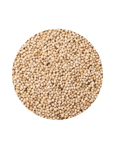 PET CUP PERILLA 3 KG 1 KG (GRANEL)