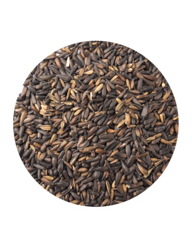 PET CUP PIPA MICRO 750 GR 1 KG (GRANEL)