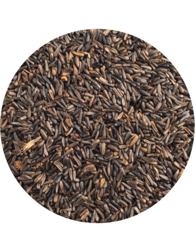 PET CUP NEGRILLO 4 KG 700 GR