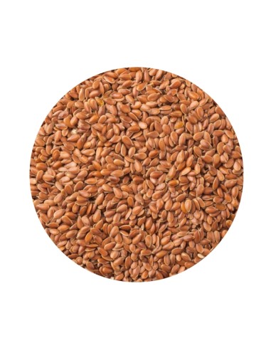 PET CUP LINAZA MARRON 1 KG (GRANEL)