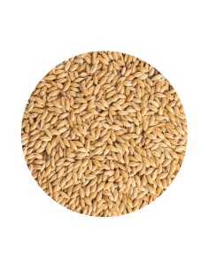 PET CUP ALPISTE 4 KG 850 GR