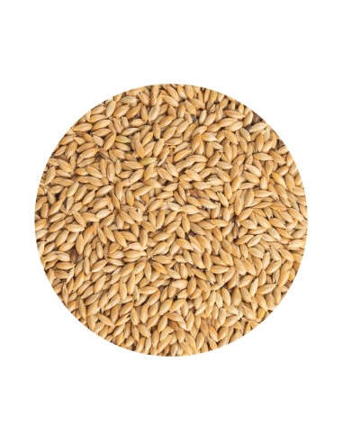 PET CUP ALPISTE 4 KG 850 GR