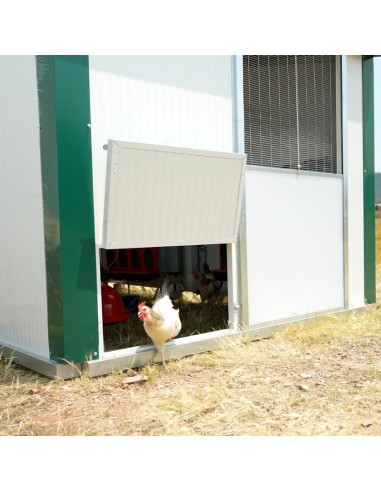 COPELE CORRAL MOVIL PARA GALLINAS (HASTA 110 GALLINAS) 4 4 X 2 5 X 1 8 METROS - 4