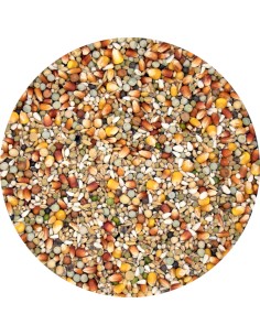 VERSELE LAGA PLUS I.C. CHAMPION SPORT - 20 KG 20 KG - 3 2