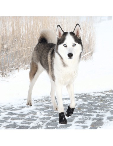 TRIXIE BOTAS PROTECTORAS WALKER ACTIVE EXTRA (2 UNIDADES) NEGRO NEGRO NEGRO NEGRO NEGRO NEGRO NEGRO NEGRO M L S XS XL XS-S - 2