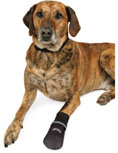 TRIXIE BOTAS CONFORT WALKER PERROS (2 UNIDADES) NEGRO NEGRO NEGRO NEGRO NEGRO NEGRO NEGRO M L S XS XL XXL XXXL - 3 2