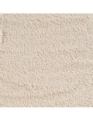 FLAMINGO ARENA TERRARIO CAVIAR WHITE - 4 KG 4 KG - 2