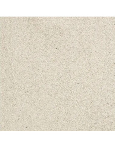 FLAMINGO ARENA TERRARIO COAST - 4 KG 4 KG - 2