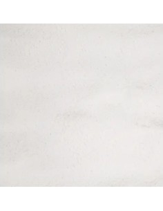 FLAMINGO ARENA TERRARIO GLACIER - 4 KG 4 KG - 2