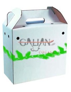 GALIAN COGASA TRANSPORTIN CARTON INDIVIDUAL CON ASA GALIAN