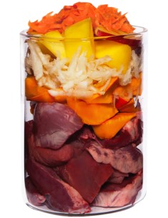 TERRA CANIS GRAIN FREE CORDERO CON CALABACÍN, CHIRIVIA Y PASSIFLORA, SIN CEREALES - 400 GR 400 GR - 2 2