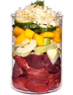 TERRA CANIS LIGHT LATA PARA PERROS BUEY CON CALABAZA, MANGO Y ALCACHOFA - 400 GR 400 GR - 2 2