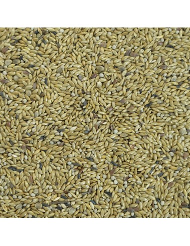 GALIAN COGASA MIXTURA CANARIOS ESPECIAL AVIARIO PLUMA - 20 KG 20 KG - 2