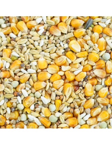 GALIAN COGASA MIXTURA GALLO INGLES MANTENIMIENTO GALIAN - 20 KG 20 KG - 2