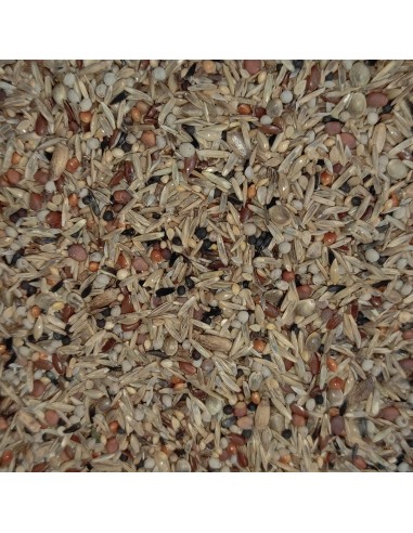 GALIAN COGASA SEMILLAS DE SALUD GALIAN - 15 KG 15 KG - 2