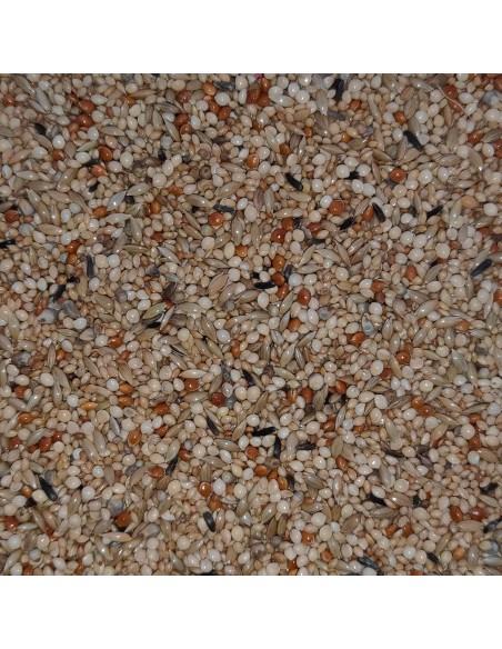 GALIAN COGASA MIXTURA EXOTICOS ESPECIAL GALIAN - 20 KG 20 KG - 2