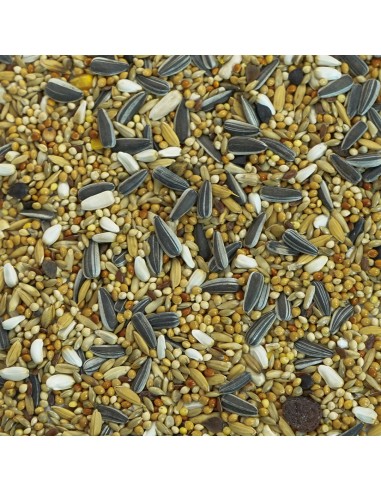 GALIAN COGASA MIXTURA NINFAS Y AGAPORNIS ESPECIAL GALIAN - 20 KG 20 KG - 2