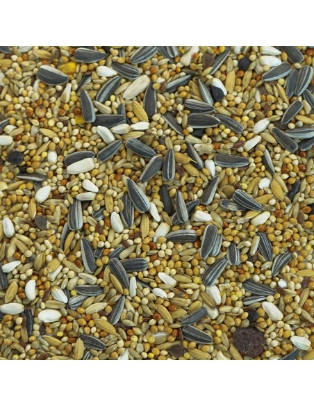 GALIAN COGASA MIXTURA NINFAS Y AGAPORNIS ESPECIAL GALIAN - 20 KG 20 KG - 2