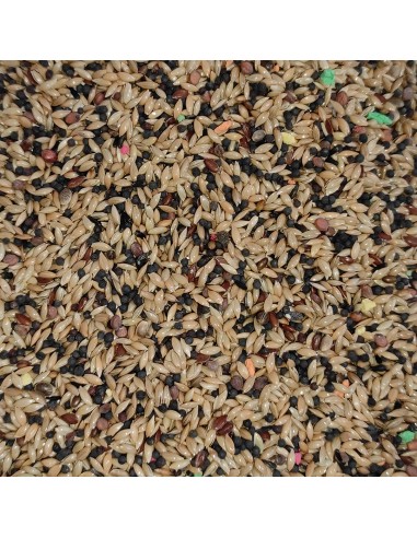 GALIAN COGASA MIXTURA CANARIOS NORMAL SIN ALPISTE - 20 KG - 2