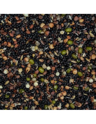 GALIAN COGASA MIXTURA PARA GERMINAR GALIAN - 20 KG