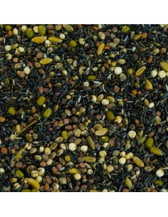 GALIAN COGASA MIXTURA PARA GERMINAR PROFESIONAL GALIAN - 20 KG - 2 2