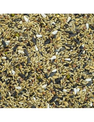 GALIAN COGASA MIXTURA VERDERON ESPECIAL GALIAN - 20 KG