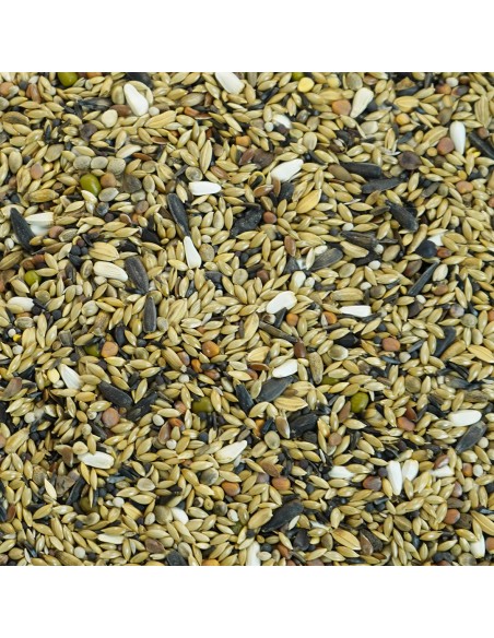 GALIAN COGASA MIXTURA VERDERON ESPECIAL GALIAN - 20 KG