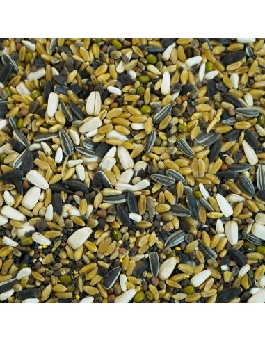 GALIAN COGASA MIXTURA PARA GERMINAR PARA SILVESTRES GALIAN - 25 KG