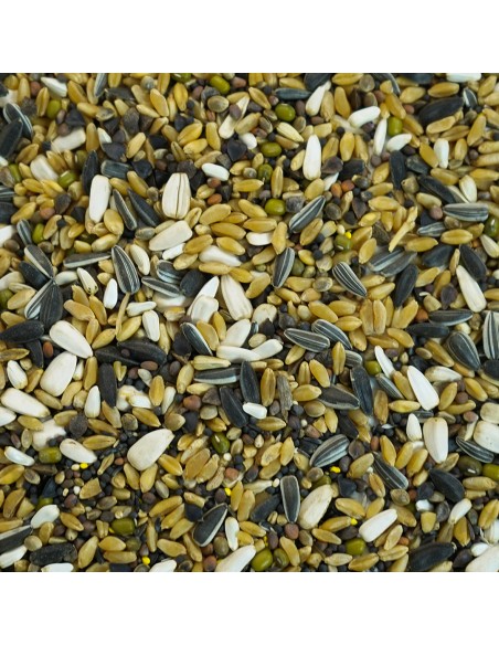 GALIAN COGASA MIXTURA PARA GERMINAR PARA SILVESTRES GALIAN - 25 KG