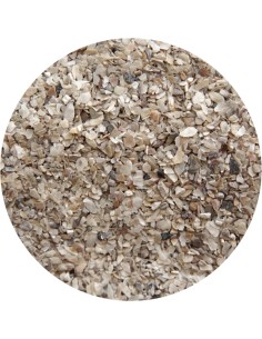 PET CUP CONCHILLA OSTRA FINA - 25 KG 25 KG